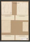 Amphora truncata Greg. (de-Toni-Nr.: Genus 36, Species 1649) Zeichnungen Sammlung Grunow Nr. 3157 (NHMW-BOT-W0370593)